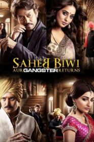 Saheb Biwi Aur Gangster Returns 2013 on netflix