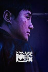 Untouchable 2024 on netflix