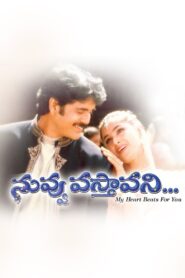 Nuvvu Vastavani 2000 on netflix