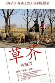 Weed 2006 on netflix