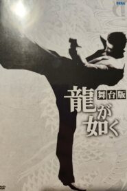 Yakuza: The Stage Play 2015 on netflix