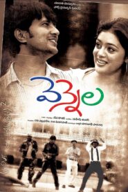 Vennela 2005 on netflix