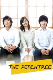 The Peach Tree 2012 on netflix