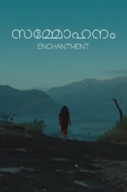 Enchantment 1994 on netflix