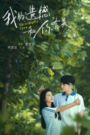 Serendipity Love 2022 on netflix