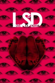 LSD: Love, Sex aur Dhokha 2010 on netflix