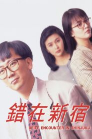 Brief Encounter In Shinjuku 1990 on netflix