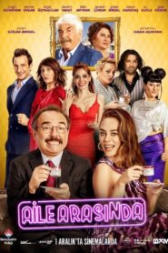 In the Family 2017 on netflix