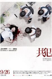 Partners in Crime 2014 on netflix