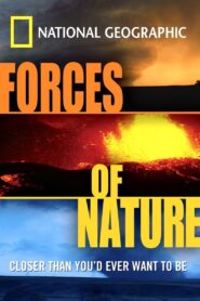Forces Of Nature 2004 on netflix