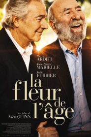 La Fleur de l’âge 2013 on netflix