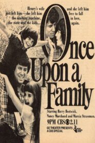 Once Upon a Family 1980 on netflix