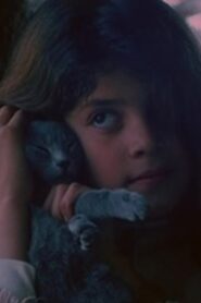 El eco 1984 on netflix