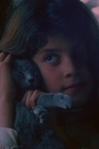 El eco 1984 on netflix