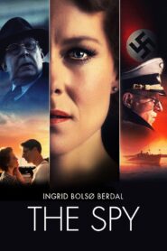 The Spy 2019 on netflix
