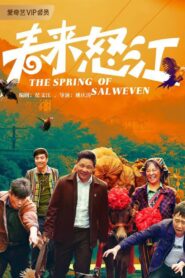 The Spring of Salweven 2020 on netflix