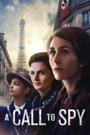 A Call to Spy 2020 on netflix