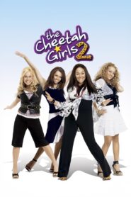 The Cheetah Girls 2 2006 on netflix