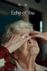 Echo of You 2023 on netflix