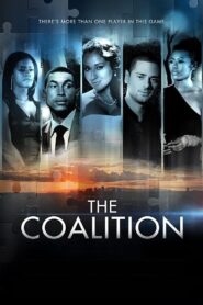 The Coalition 2013 on netflix