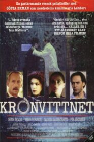 The Crown Witness 1989 on netflix