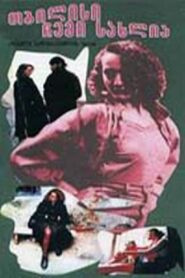 Tbilisi Is My Home 1993 on netflix