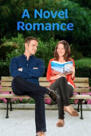 A Novel Romance 2015 on netflix