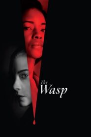 The Wasp 2024 on netflix