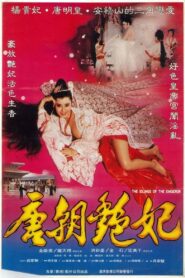 The Devil Woman of Tang Dynasty 1993 on netflix