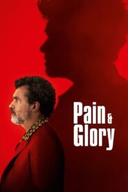 Pain and Glory 2019 on netflix