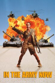 In the Army Now 1994 on netflix