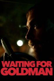 Waiting for Goldman 2021 on netflix
