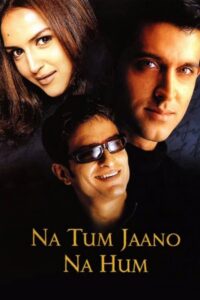 Na Tum Jaano Na Hum 2002 on netflix