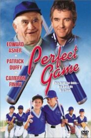Perfect Game 2000 on netflix