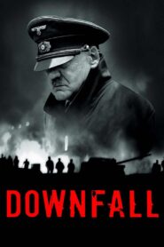 Downfall 2004 on netflix