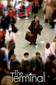 The Terminal 2004 on netflix