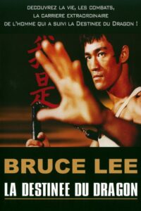 Bruce Lee – La Destinée du Dragon 2004 on netflix