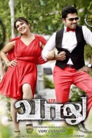 Vaalu 2015 on netflix
