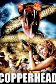 Copperhead 2008 on netflix