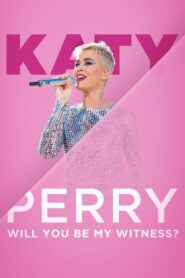 Katy Perry: Will You Be My Witness? 2017 on netflix