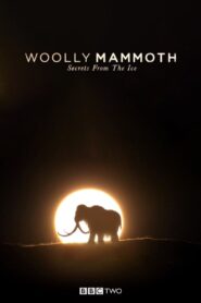 Woolly Mammoth: Secrets from the Ice 2012 on netflix
