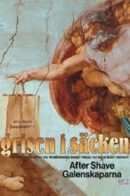 Grisen i säcken 1992 on netflix