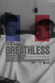 Godard Made in USA 2010 on netflix