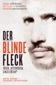The Blind Spot 2013 on netflix