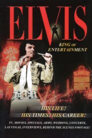 Elvis: King of Entertainment 2002 on netflix