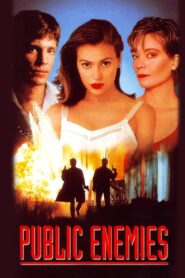 Public Enemies 1996 on netflix
