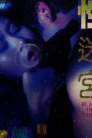 Blaze of Love 1994 on netflix
