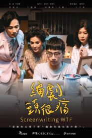 Screenwriting WTF 2019 on netflix
