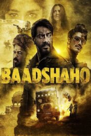 Baadshaho 2017 on netflix