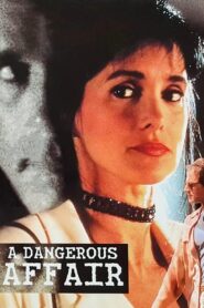 A Dangerous Affair 1995 on netflix